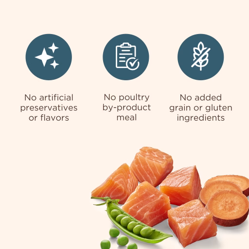 grain free dog food benefits