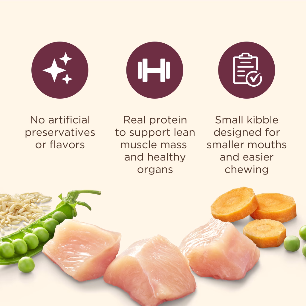small breed dog food benefits