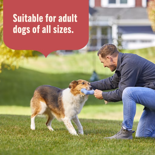 suitable for adult dogs of all sizes