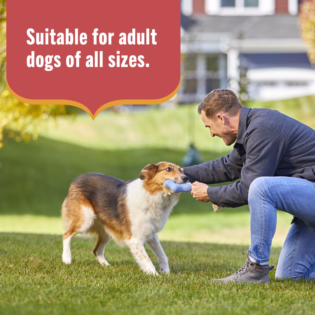 Suitable for Adult dogs of all sizes