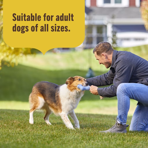 suitable for adult dogs of all sizes