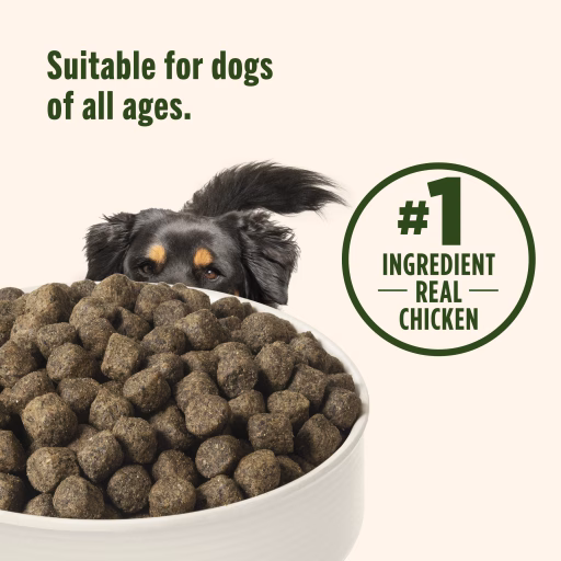 suitable for dogs of all ages