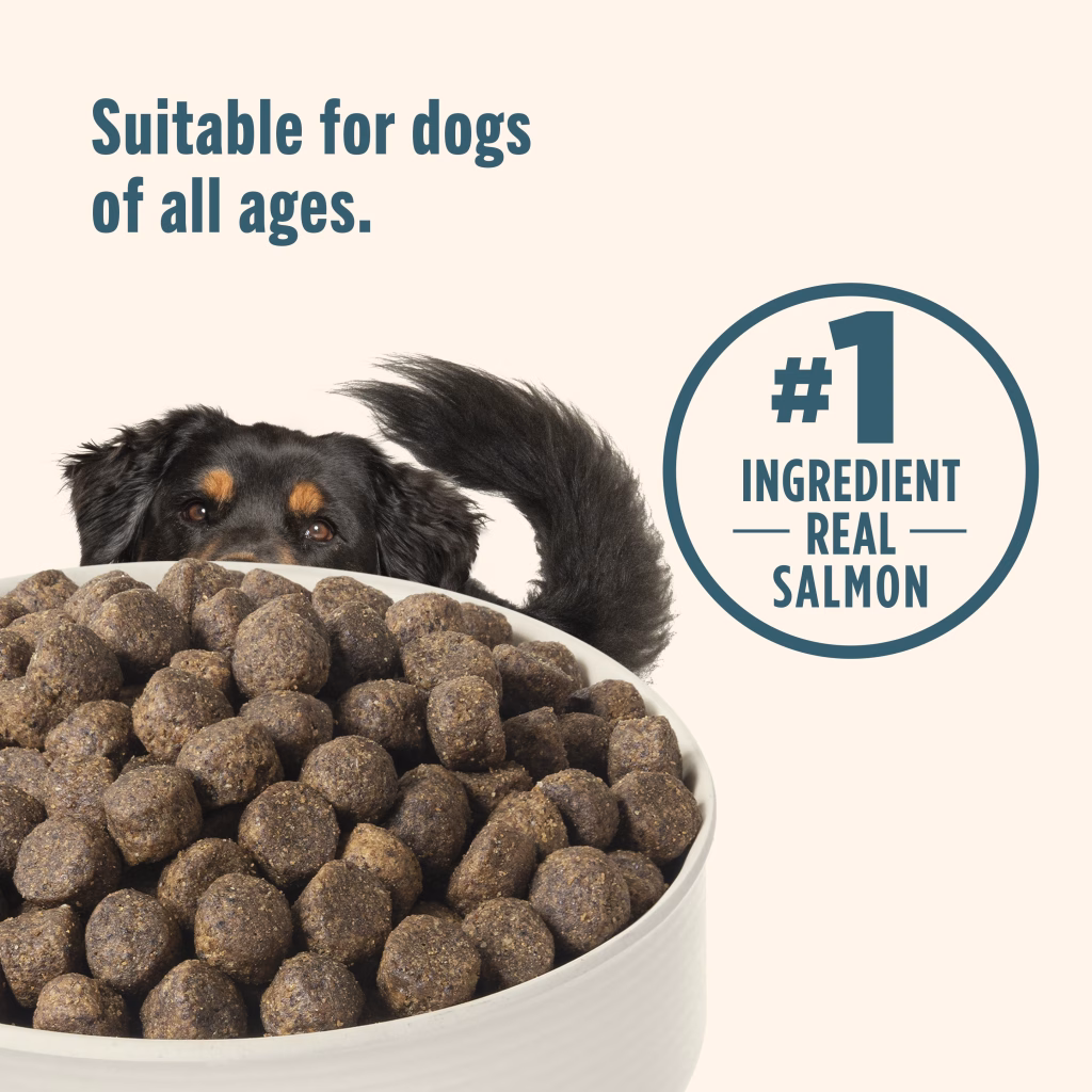 suitable for dogs of all ages