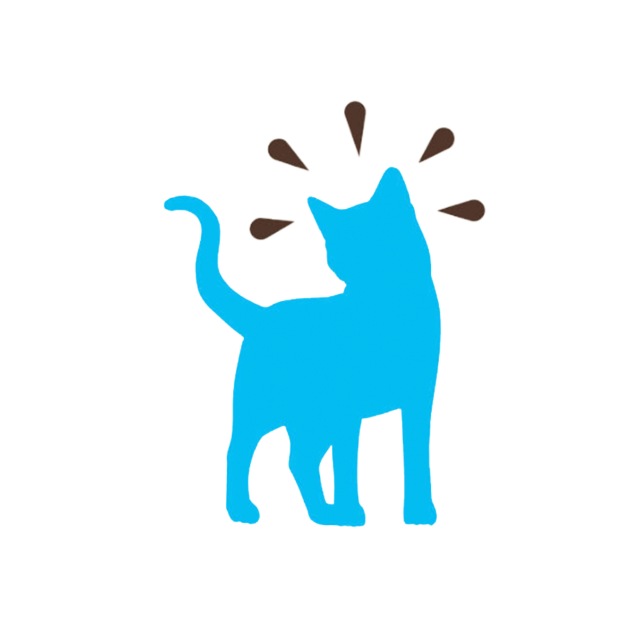 A blue cat