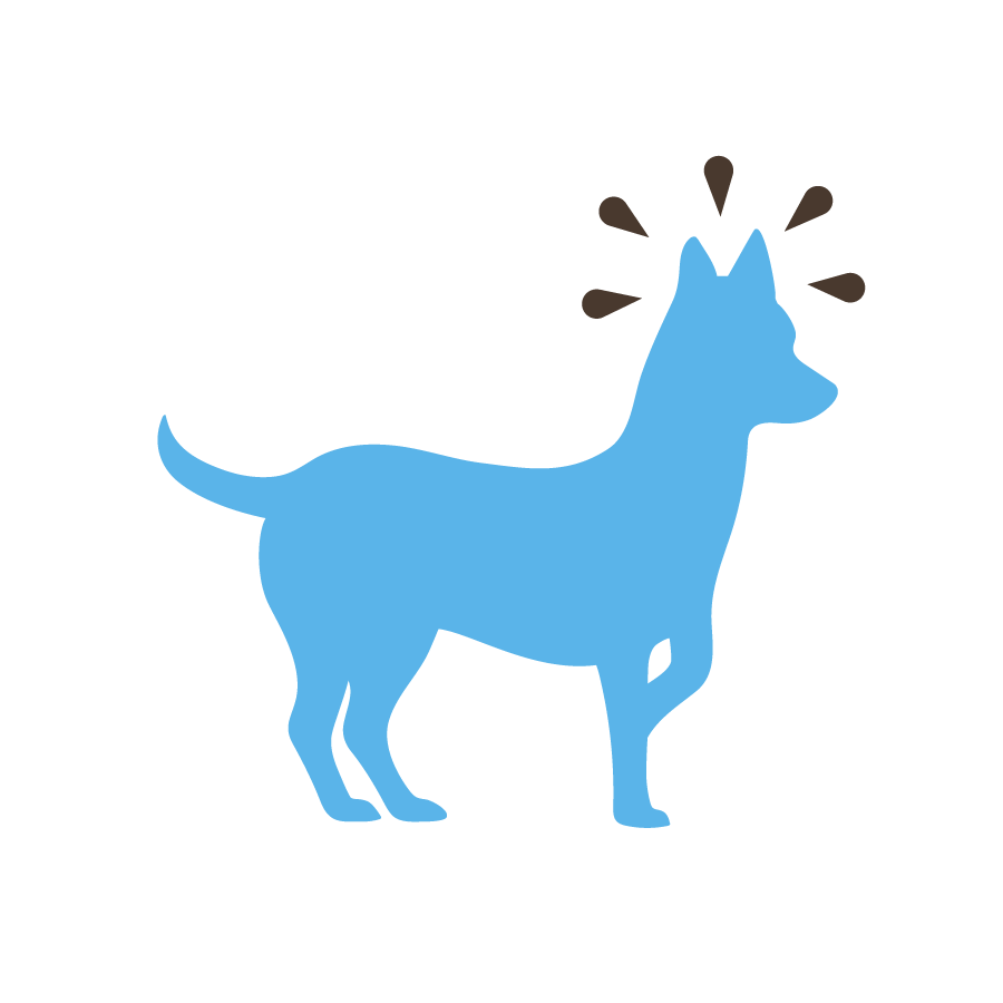 A blue dog