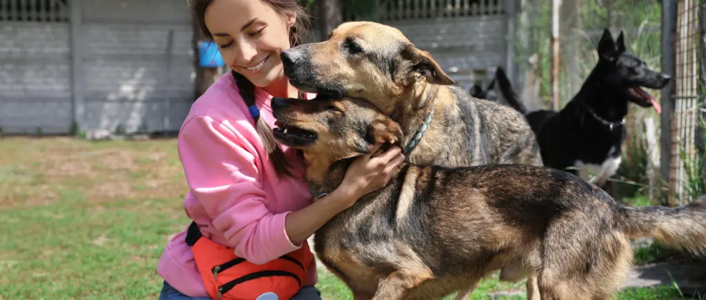 A woman holding and petting two dogs at an animal sanctuary