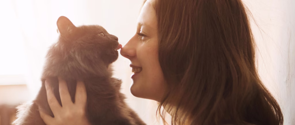 A cat licking its owner's nose