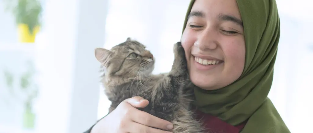 A cat rubbing its owner's face with its paws