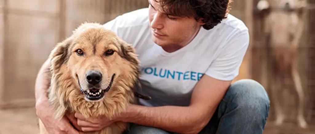 A man in a volunteer shirt holding a dog