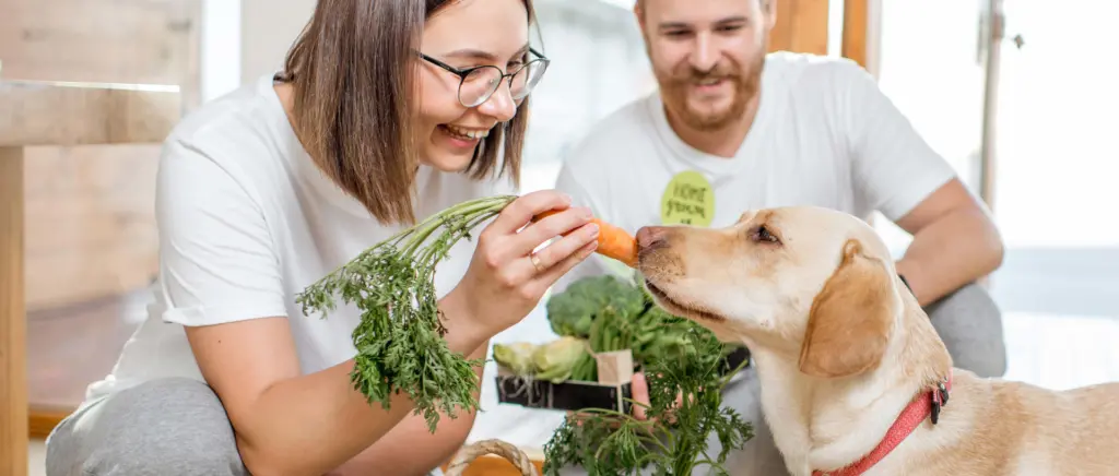 Two people with vegetables offering a carrot to a dog