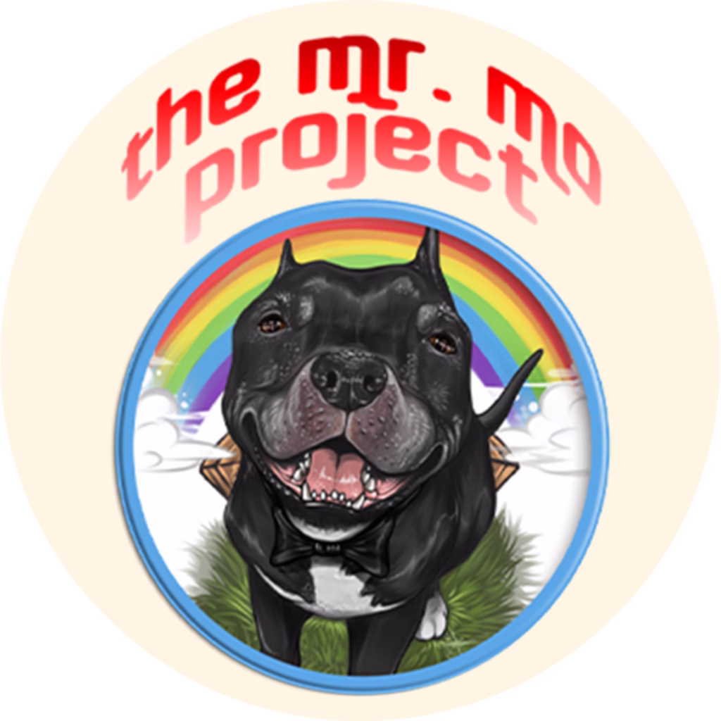 The Mr. Mo Project Logo