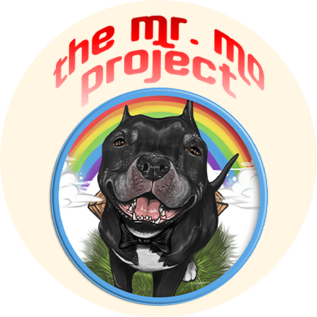 The Mr. Mo Project Logo