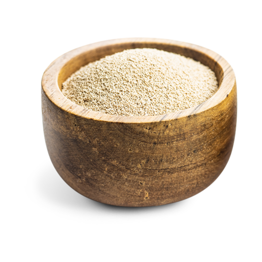 dried yeast