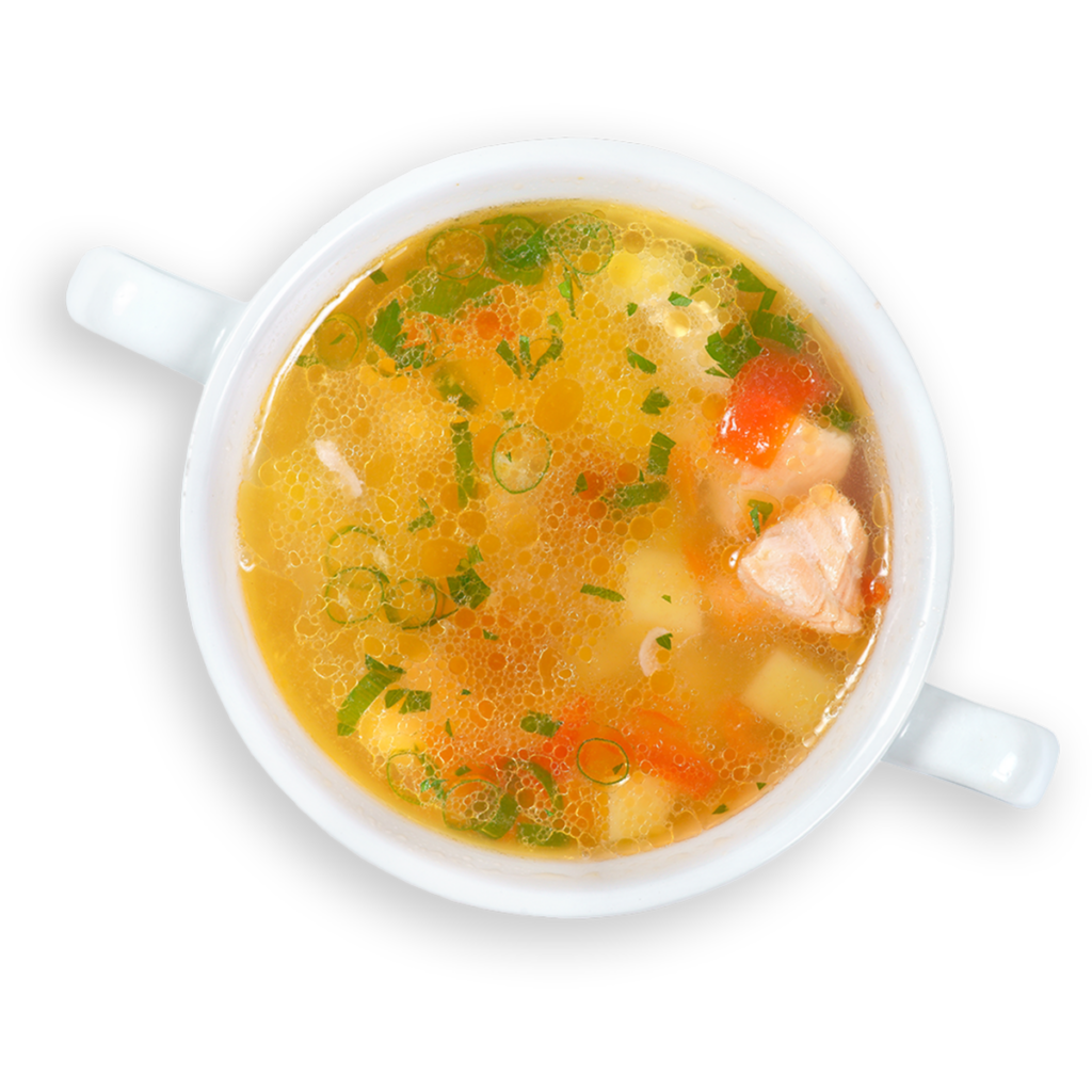 fish broth