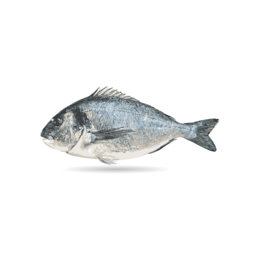 a fish