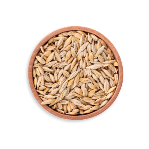 barley