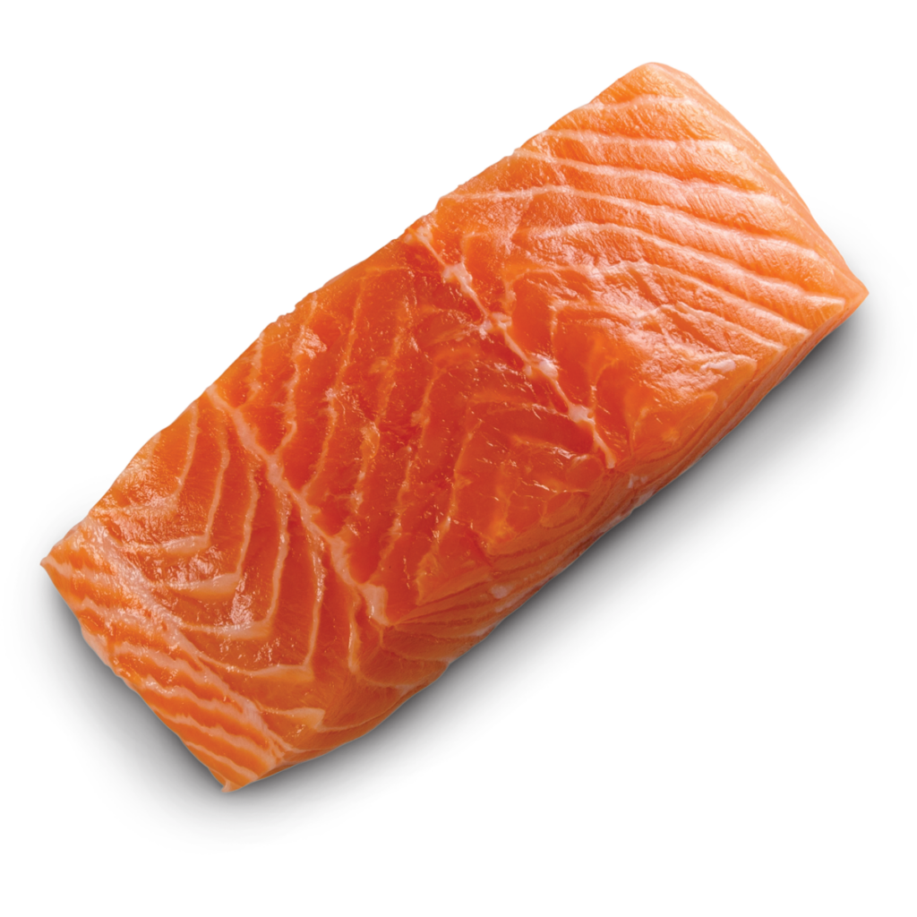 a salmon filet