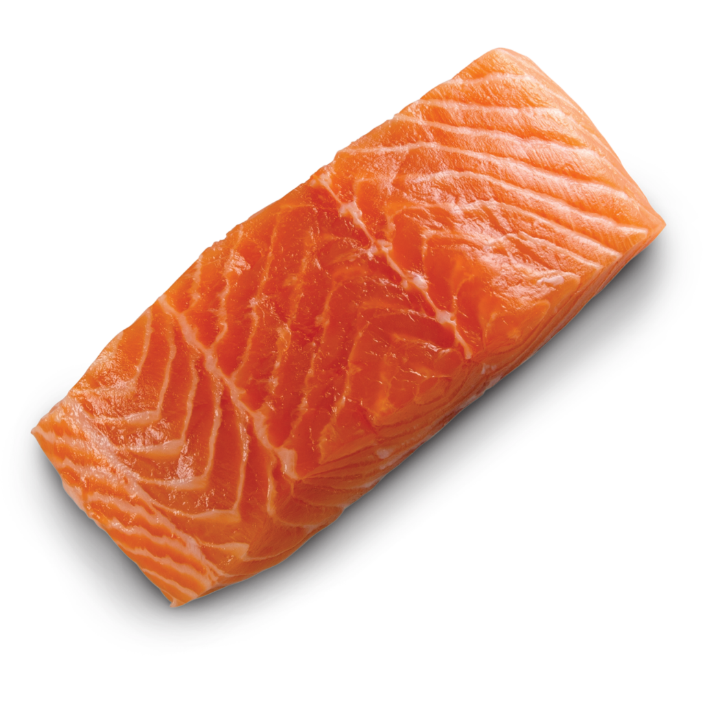 salmon filet