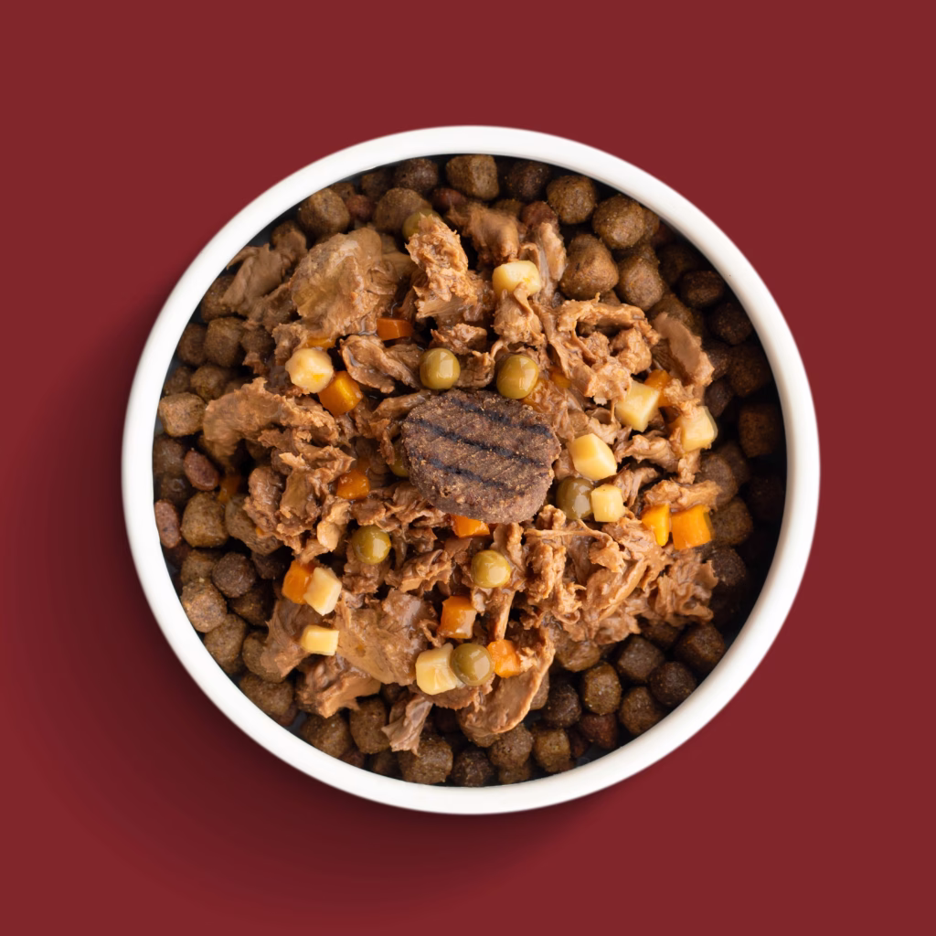 Beefin smash bowl dog food recipe