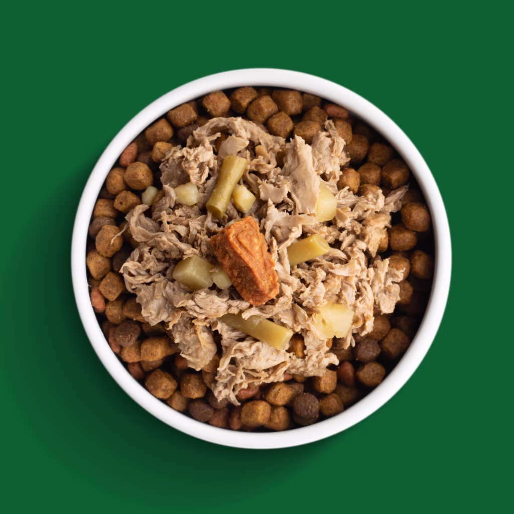 Chickin lickin dog food recipe bowl