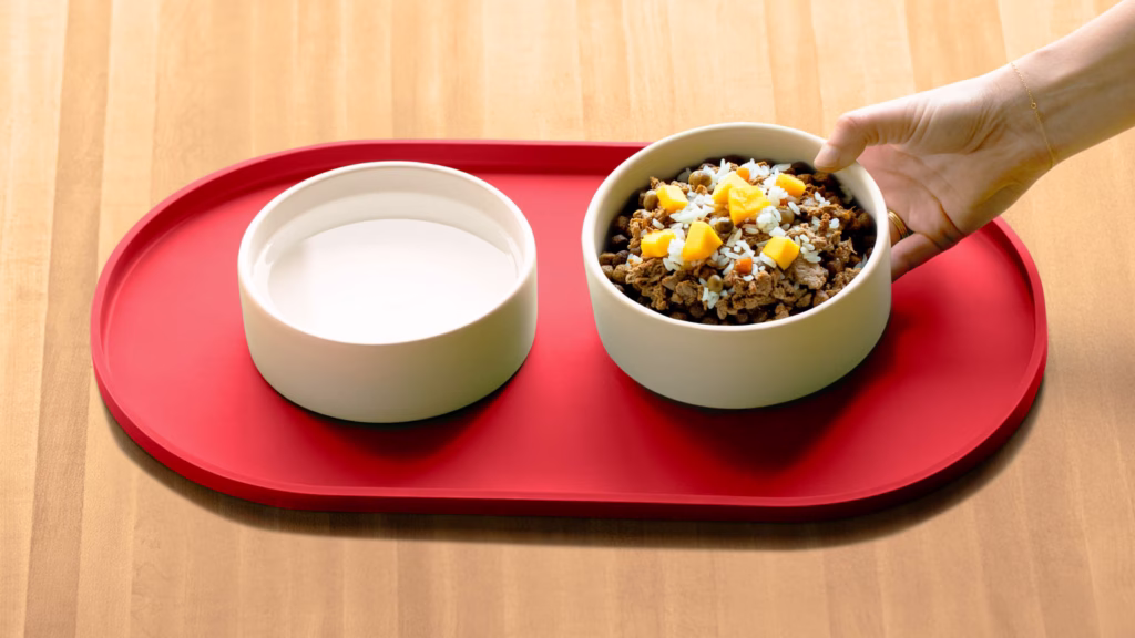 Surf & Turf Dog Recipe Bowl