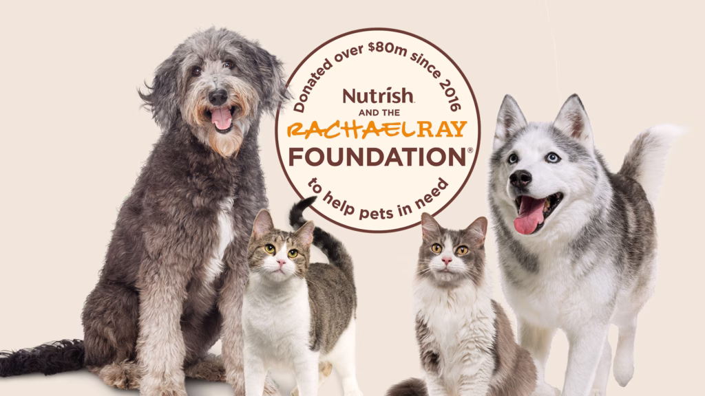 Rachael Ray Foundation Dogs and Cats