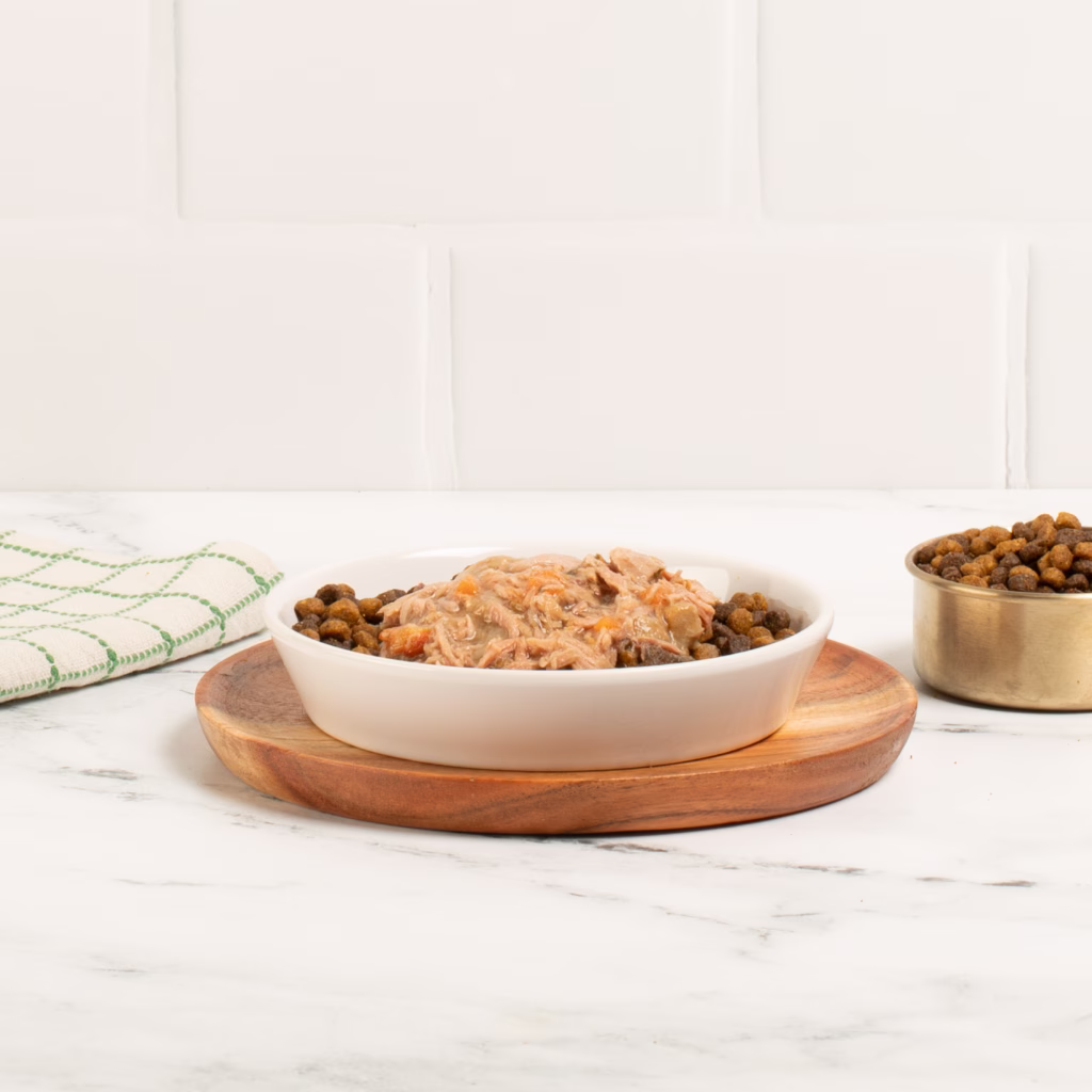 Brothy Fish Bliss Cat Bowl