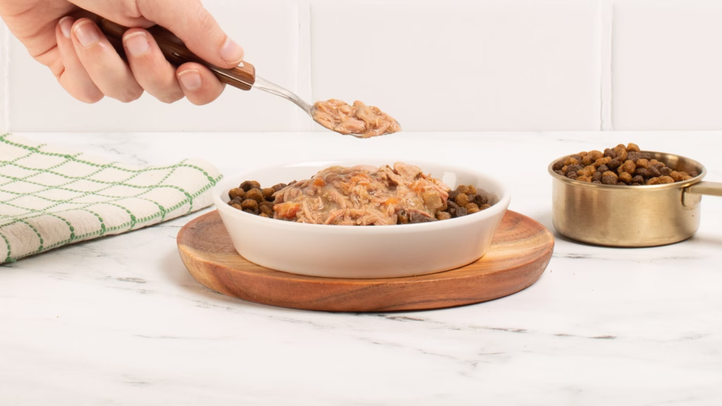 Brothy Fish Bliss Cat Bowl