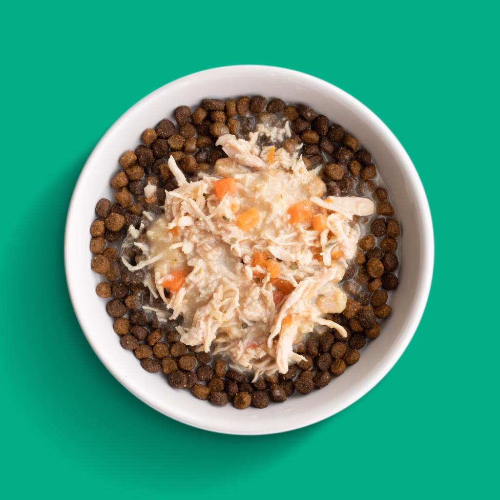 Creamy Chicken Soup Cat Bowl