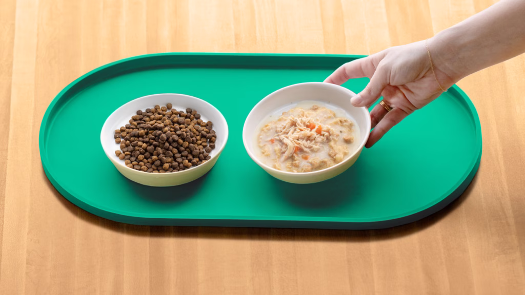 Creamy Chicken Soup Cat Bowl