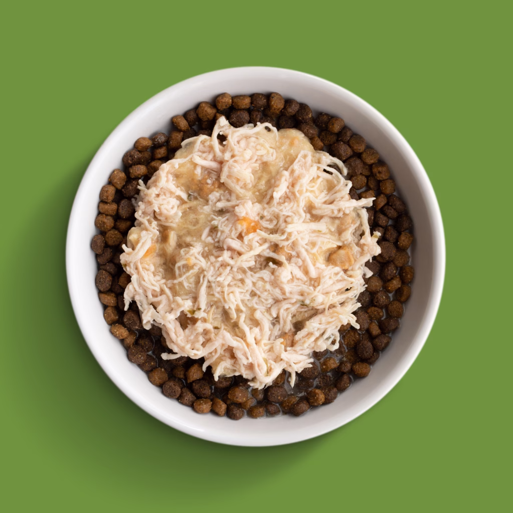 Homestyle Chicken Stew Cat Bowl