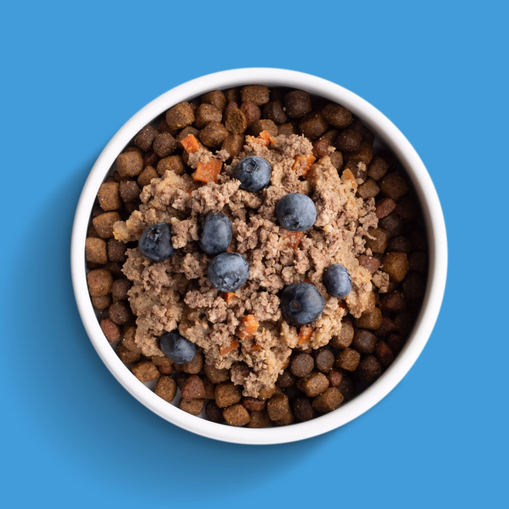 Beef Blueberry