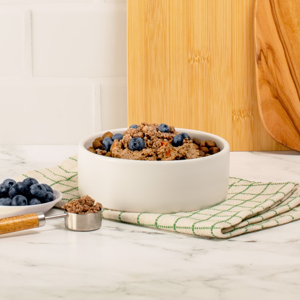 beef blueberry dog bowl