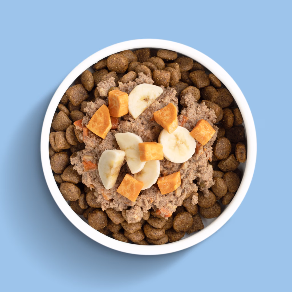 Big Dog Energy Bowl