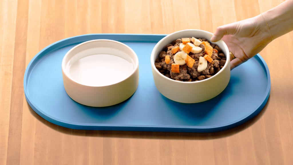 Big Dog Energy Bowl