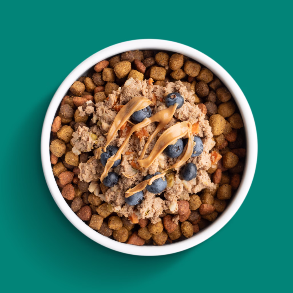 Peanut Butter Chicken Dog Bowl