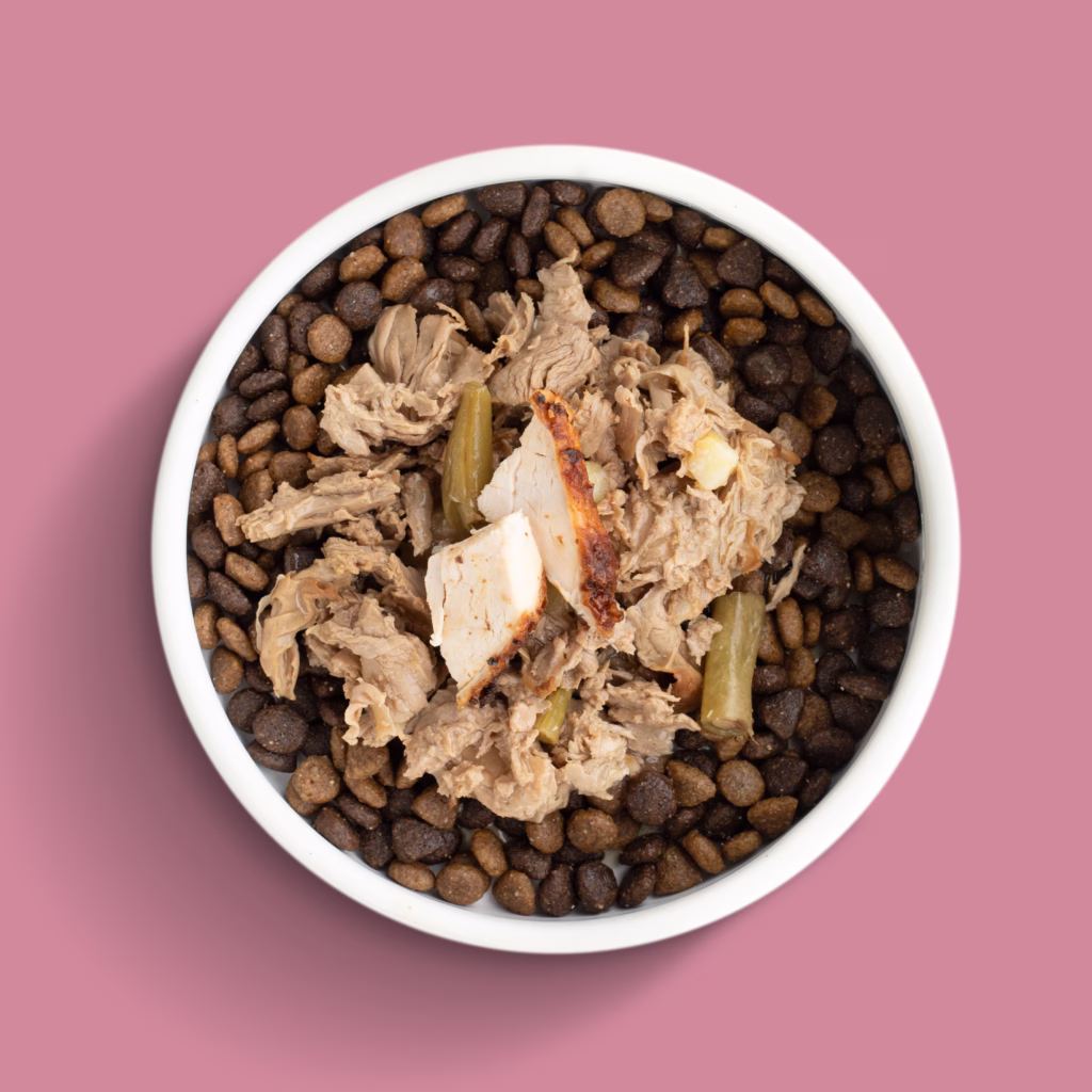 Small Breed Big Flavor Dog Bowl