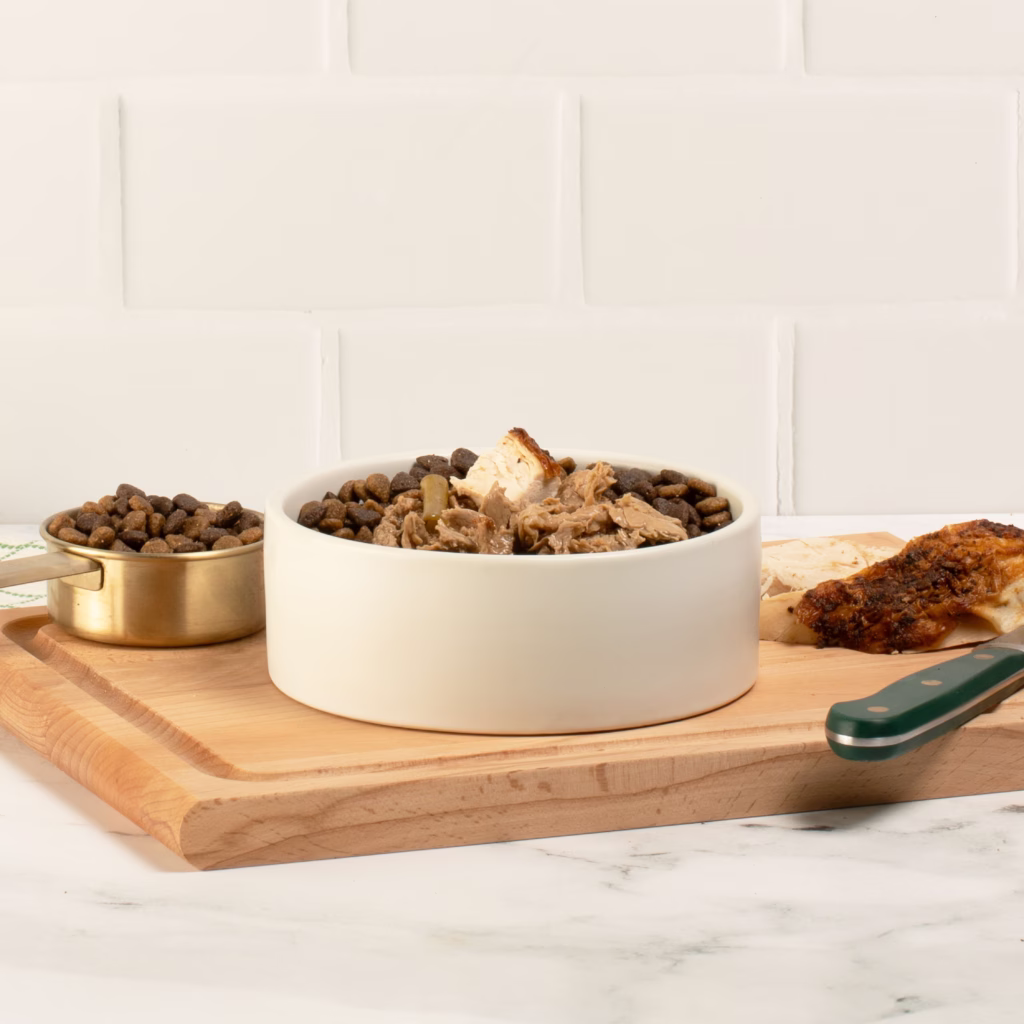 Small Breed Big Flavor Dog Bowl