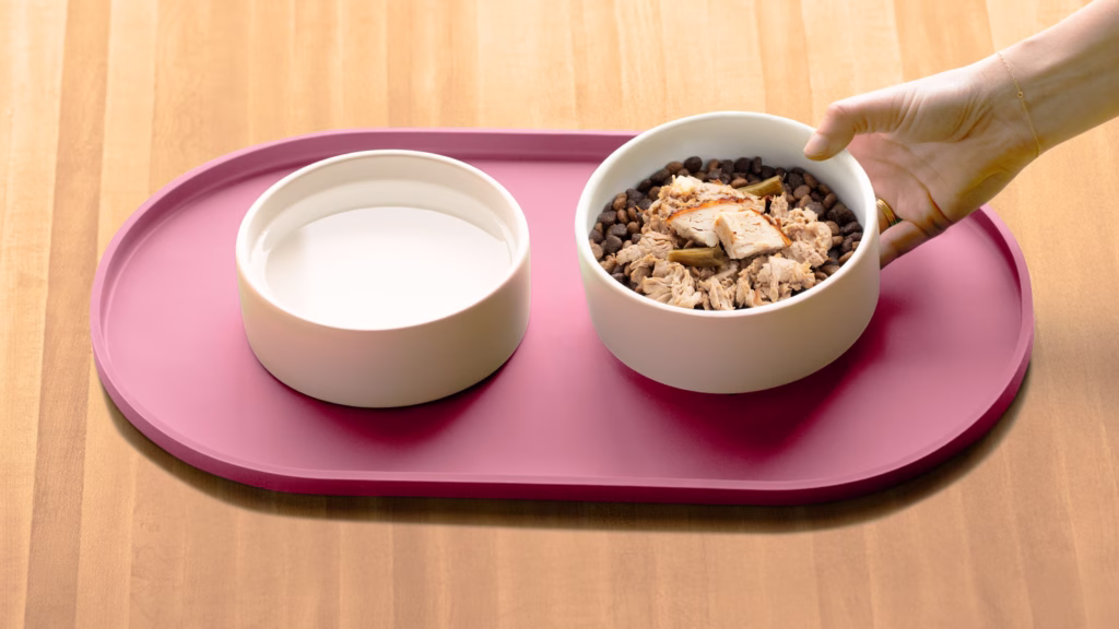 Small Breed Big Flavor Dog Bowl