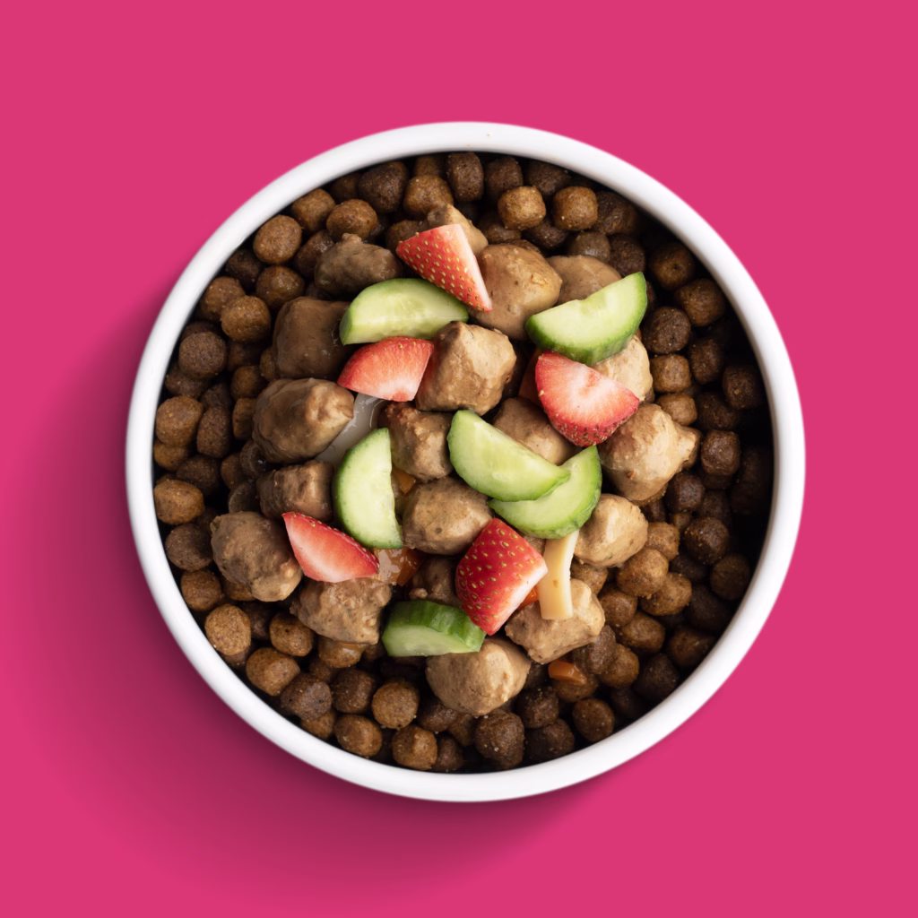 Summer Salad Bowl