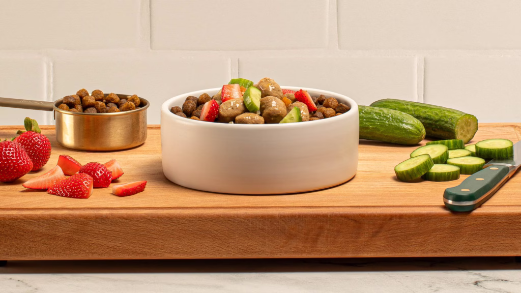 Summer Salad Bowl