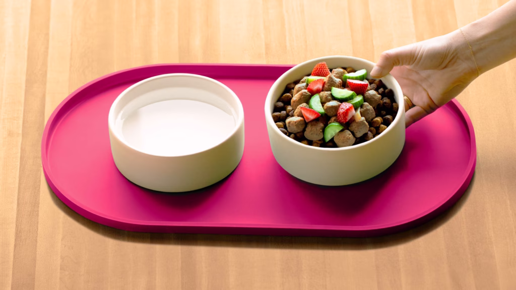 Summer Salad Bowl