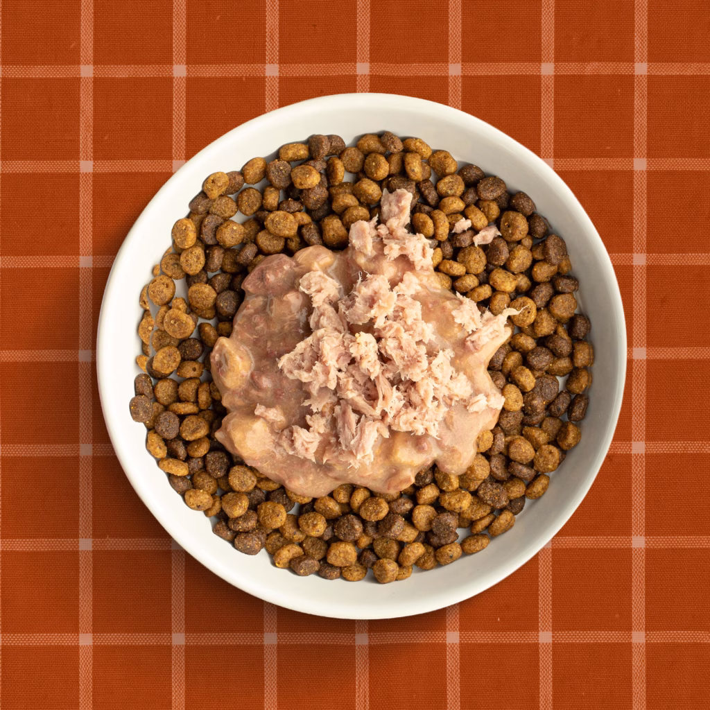 Tuna Casserole Bowl