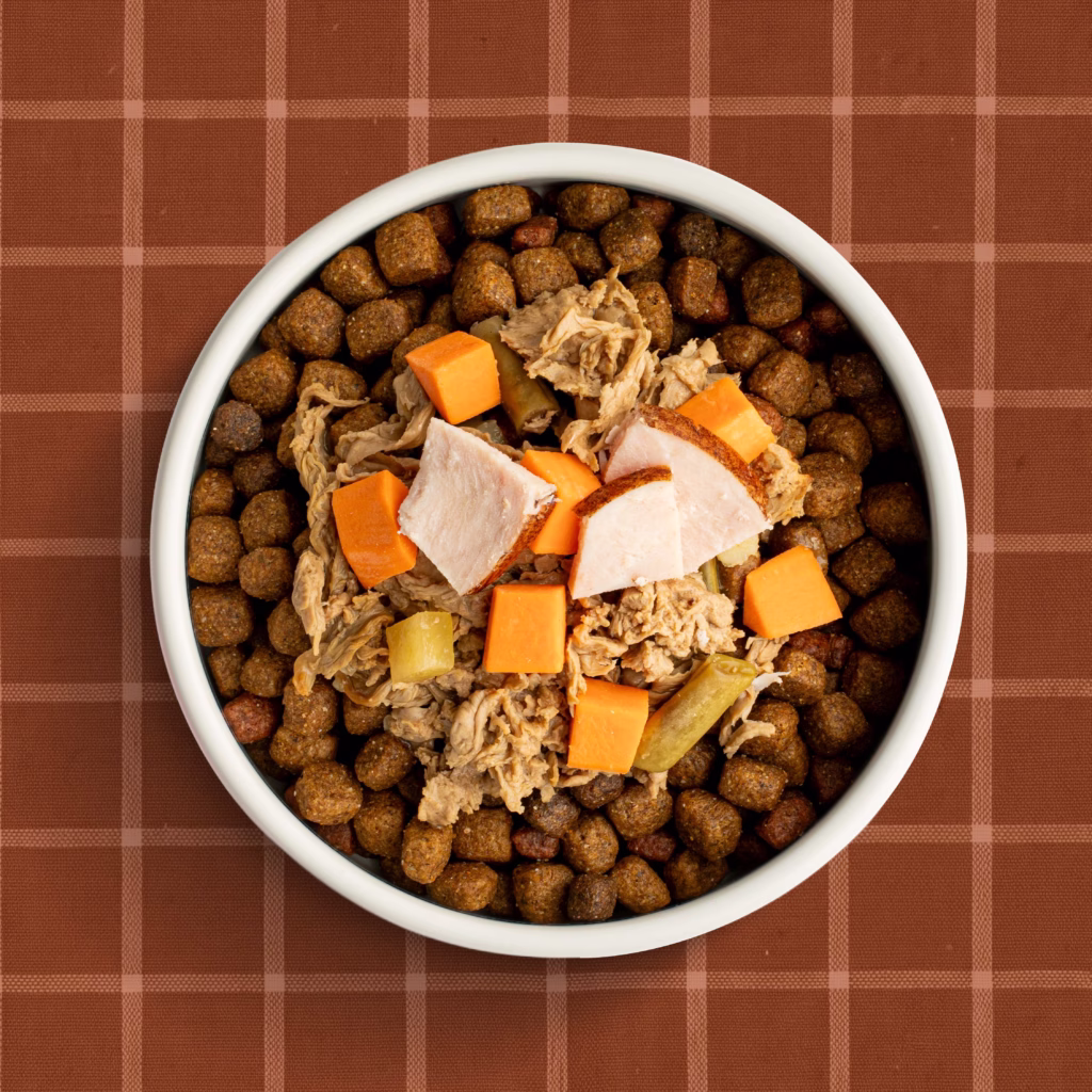 Cozy Turkey & Sweet Potato Bowl