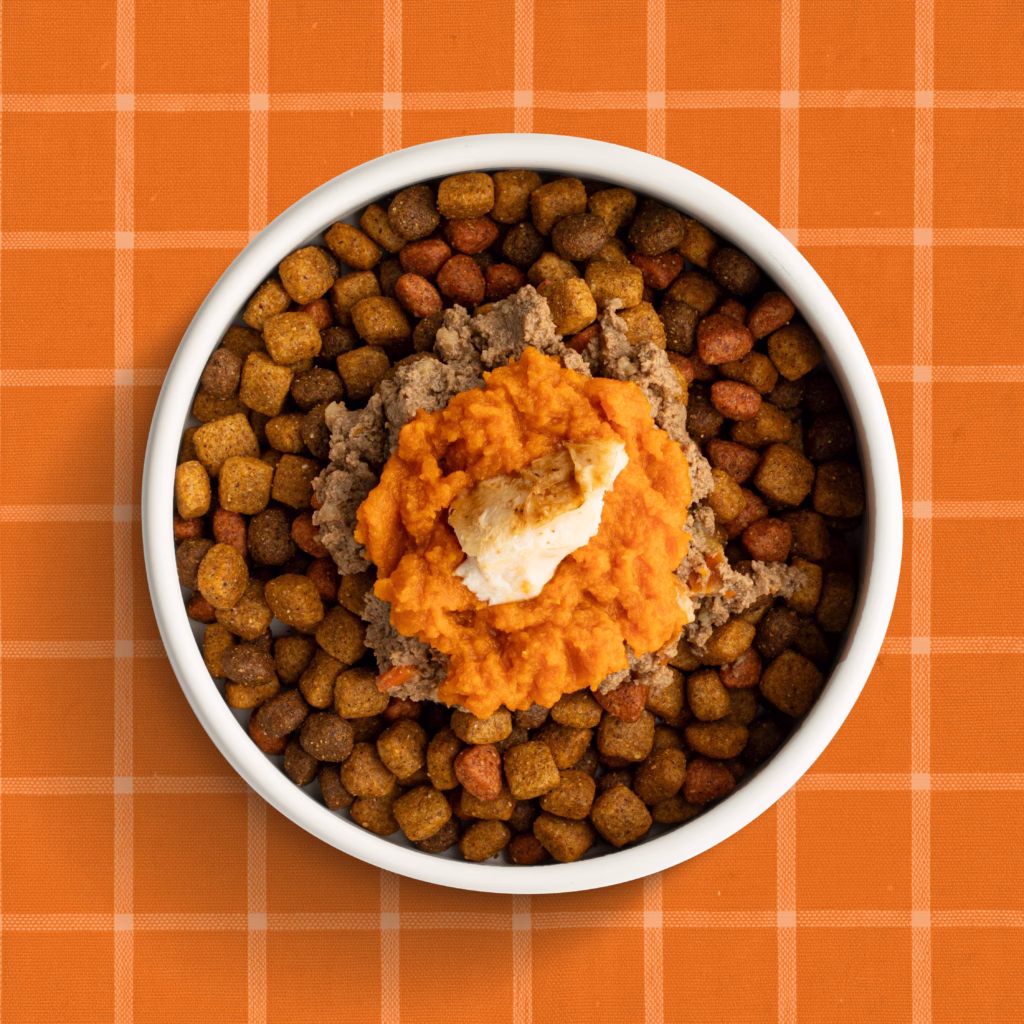 Harvest Chicken & Pumpkin Bowl
